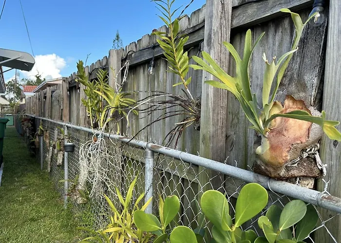 Miami'S Cozy Tropical Getaway